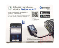 SKYRC B6 Evo 1-6S 6A 60W Balance Smart Charger